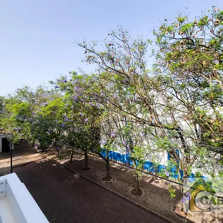 Estudio Sol E Mar By Yha